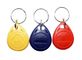 Porta-chaves Balnk do Abs de NFC do RFID ou impresso com Logo For Access Control